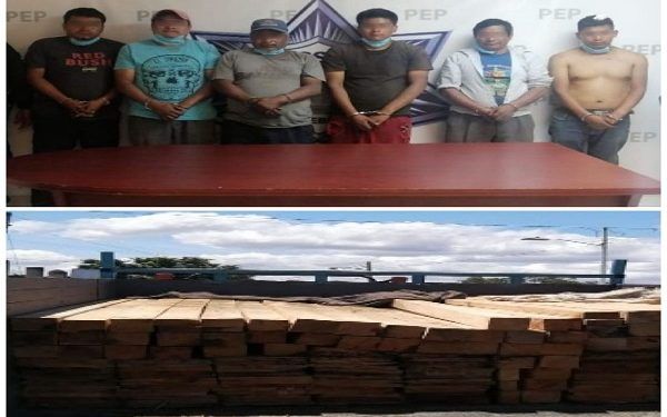 SSP Puebla detiene a cinco personas acusadas de tala ilegal
