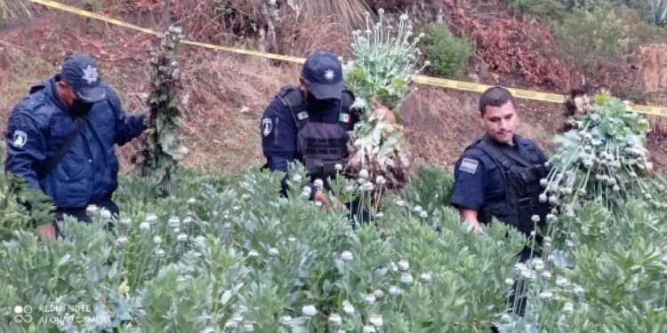Sujeto con 32 dosis de droga es detenido en Huauchinango