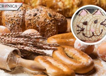 Panadería de CDMX causa sensación en la red al lanzar las michiconchas