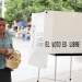 Razones para votar III