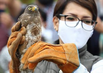 Certifica Conanp a Flor del Bosque como Área de Conservación