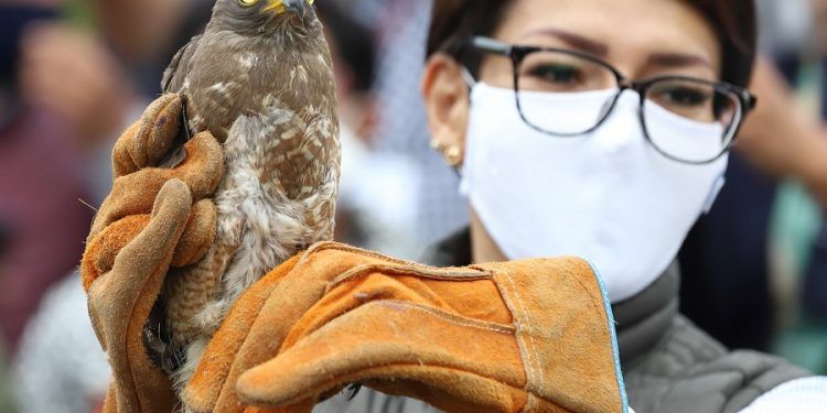 Certifica Conanp a Flor del Bosque como Área de Conservación