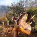 Arriban dinosaurios a “Cuatlapanga Jurassic” en Tlaxcala