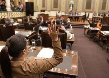 Apuntes sobre la LXI Legislatura del Congreso de Puebla