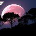 Luna de Fresa será visible desde México