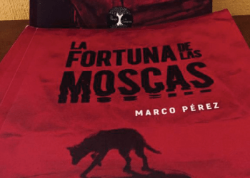 La fortuna de las moscas, poemario existencialista