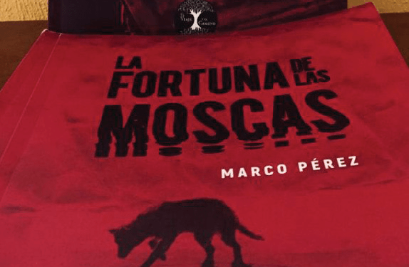 La fortuna de las moscas, poemario existencialista