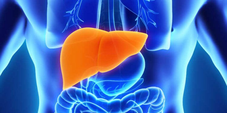 Medio millón de mexicanos están infectados con hepatitis C y sólo el 5 por ciento lo sabe