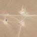 EE.UU denuncia que China construye almacenes de misiles nucleares en Xinjiang