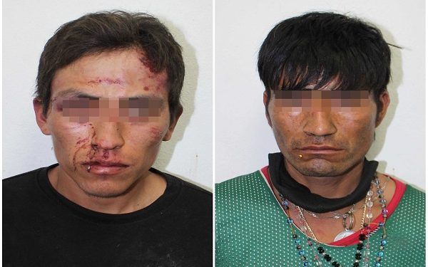 Saquean vehículo de Total Play y son capturados en Lares de San Alfonso