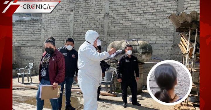 Presunta implicada en asesinato de perro en Edomex pide ayuda al recibir amenazas