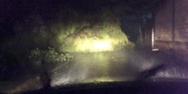 Caída de árboles y cortes de luz deja Grace a su paso por territorio poblano 