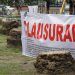 Detienen a dos sujetos en el Periférico Ecológico, uno se hizo pasar por policía