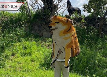 Joven revela que tuvo mucho éxito al poner en venta tapetes de Cheems