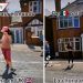 Joven se hace viral por poner a ingleses a bailar ‘La Chona’ (VIDEO)