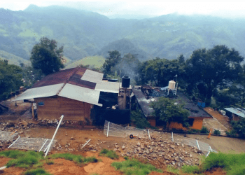 Acaba censo: 79 mil 520 damnificados
