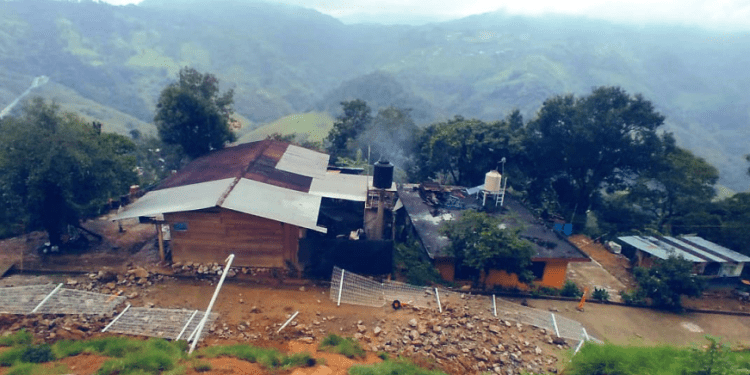 Acaba censo: 79 mil 520 damnificados