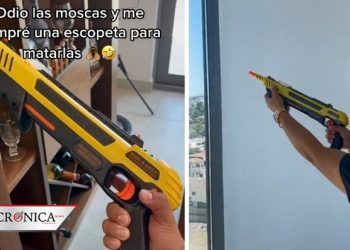 Joven compra escopeta para deshacerse de las moscas en su casa (VIDEO)