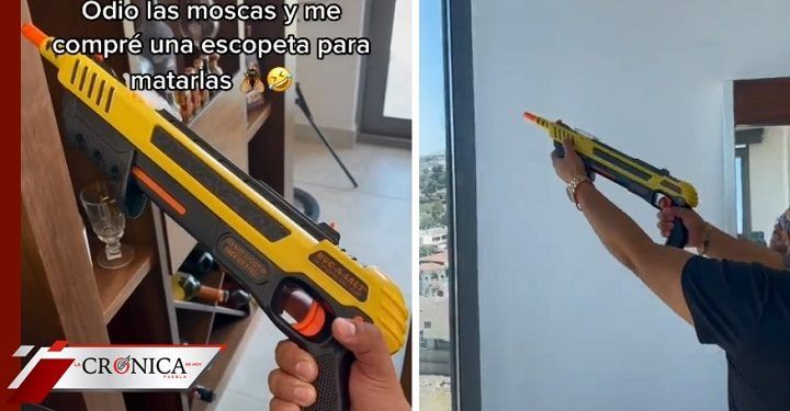Joven compra escopeta para deshacerse de las moscas en su casa (VIDEO)