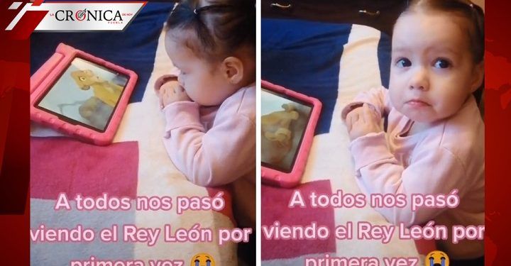 Niña llora al ver escena sobre la muerte de Mufasa en El rey león (VIDEO)