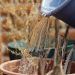 Invita Ayuntamiento de Tepeaca a jornada de capacitación para prevenir riesgos sanitarios