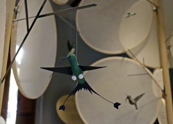 Museo del Ferrocarril alberga la exposición Mundo Colibrí