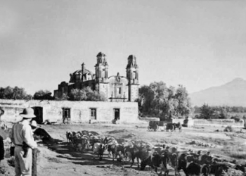 IN MEMORIAM – AMALUCAN EN SUS BUENOS TIEMPOS