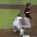 Elimina Tabasco a Pericos