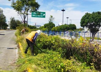 Secretaría de Infraestructura realiza labores de poda y deshierbe en la Vía Atlixcáyotl