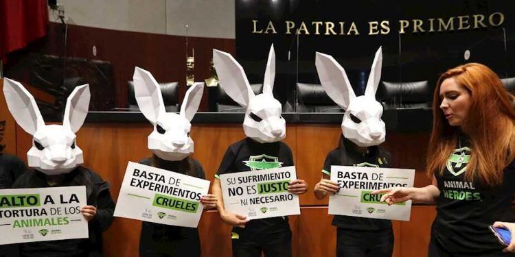 Activistas piden al Senado prohibir pruebas en animales en la industria cosmética