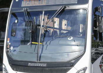 Mueren 27 menores atropellados