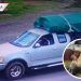 Roban camioneta a abuelitos y los abandonan en la carretera