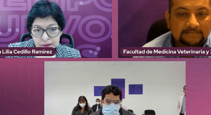Arrancan sus campañas aspirantes a la BUAP