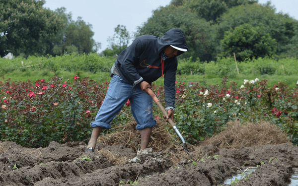 MBH: se destinan recursos al campo sin distingos