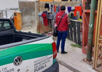 Medio Ambiente presenta denuncia por la muerte del perro «Rocky» en El Conde 