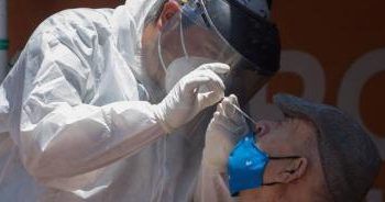 Birmex producirá suero equino anticovid