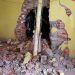 Explosión en taller mecánico del Barrio de Santiago deja dos lesionados