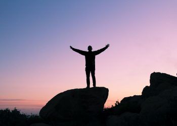 Congruencia en el camino: ¿introspección o acción?