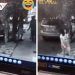 Mujer cacha a novio huyendo con caguama en mano; sus vecinos lo delataron