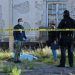 Hombre muere en el parque de Las Letras, del barrio de Los Remedios