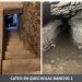 Localizan armas, drogas y túnel tras cateos en Quecholac y Palmar de Bravo; hay personas detenidas