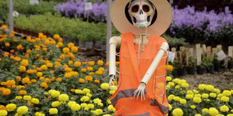 Espera Puebla derrama económica de mil mdp por temporada de muertos