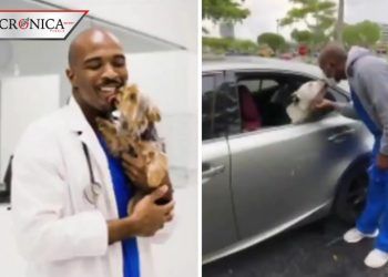 Sentencian a veterinario que grababa mientras abusaba de sus pacientes