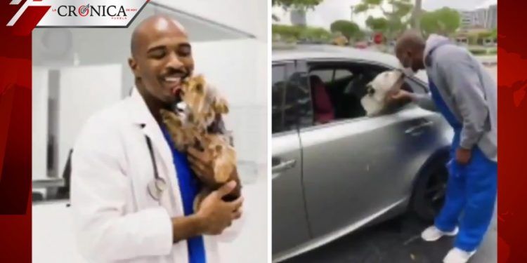 Sentencian a veterinario que grababa mientras abusaba de sus pacientes