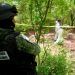 México registra al menos 800 casos de tortura en lo que va del 2021, dice ONG