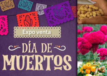 Expo Venta de Día de Muertos, del 22 al 24 de octubre en San Andrés Cholula