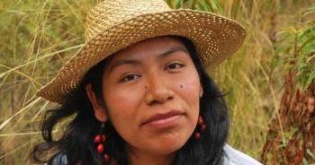 Desaparece Irma Galindo, defensora mixteca del bosque en Oaxaca