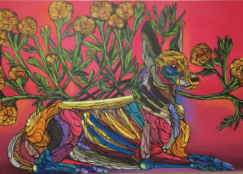Descubrir el arte en el barrio… la “Psicodelia Animal”