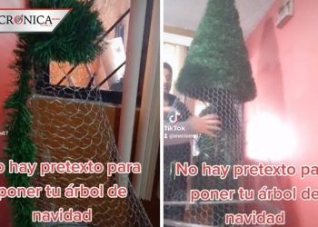 Sin miedo al éxito: mujer enseña a crear árbol de Navidad con poco dinero (VIDEO)