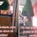 Sin miedo al éxito: mujer enseña a crear árbol de Navidad con poco dinero (VIDEO)